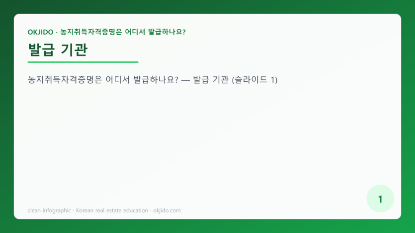 발급 기관